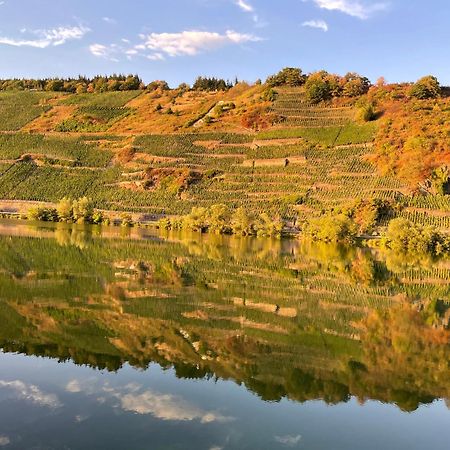 Neue Loft Im Alten Kelterhaus - Urlaub Im Wein- Und Ferienort Bekond Ngoại thất bức ảnh