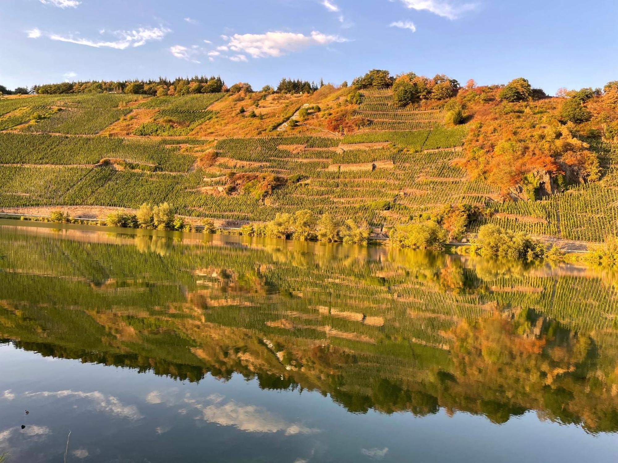 Neue Loft Im Alten Kelterhaus - Urlaub Im Wein- Und Ferienort Bekond Ngoại thất bức ảnh